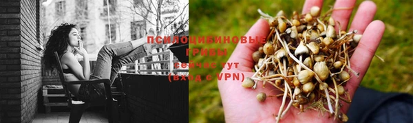 соль курить ск Алзамай