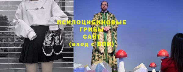 соль курить ск Алзамай