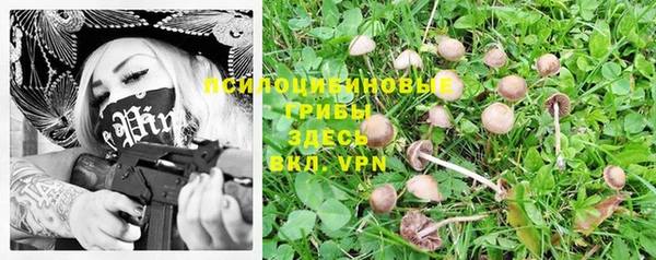 прущая мука Алексеевка